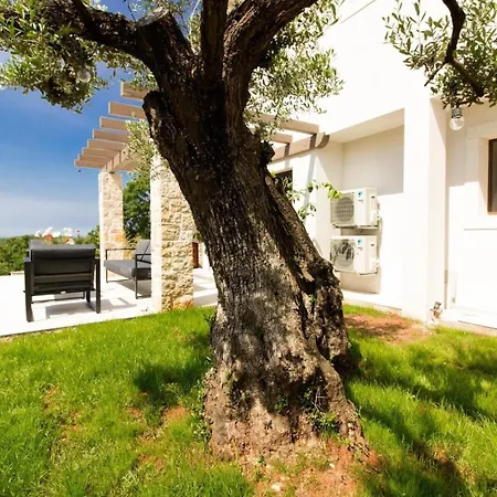 Holiday home Mit Privatpool Fuer 8 Personen Ca 160 Qm In Golas, Istrien Istrische Riviera *