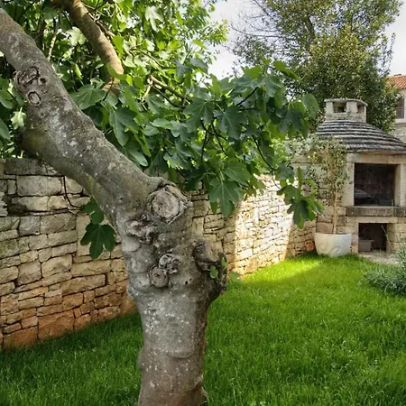 Casa vacanze Mit Privatpool Fuer 8 Personen Ca 160 Qm In Golas, Istrien Istrische Riviera
